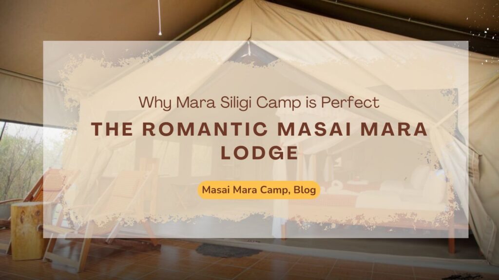 the-romantic-masai-mara-lodge-why-mara-siligi-camp-is-perfect
