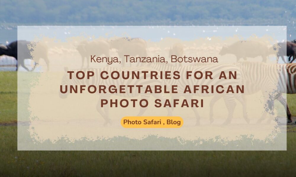 top-countries-for-an-unforgettable-african-photo-safari