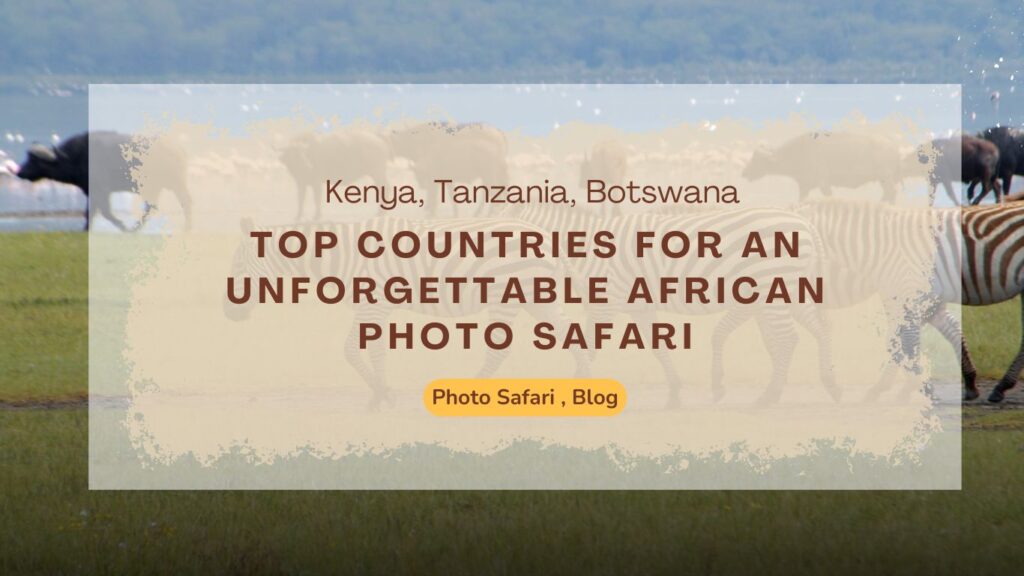 top-countries-for-an-unforgettable-african-photo-safari