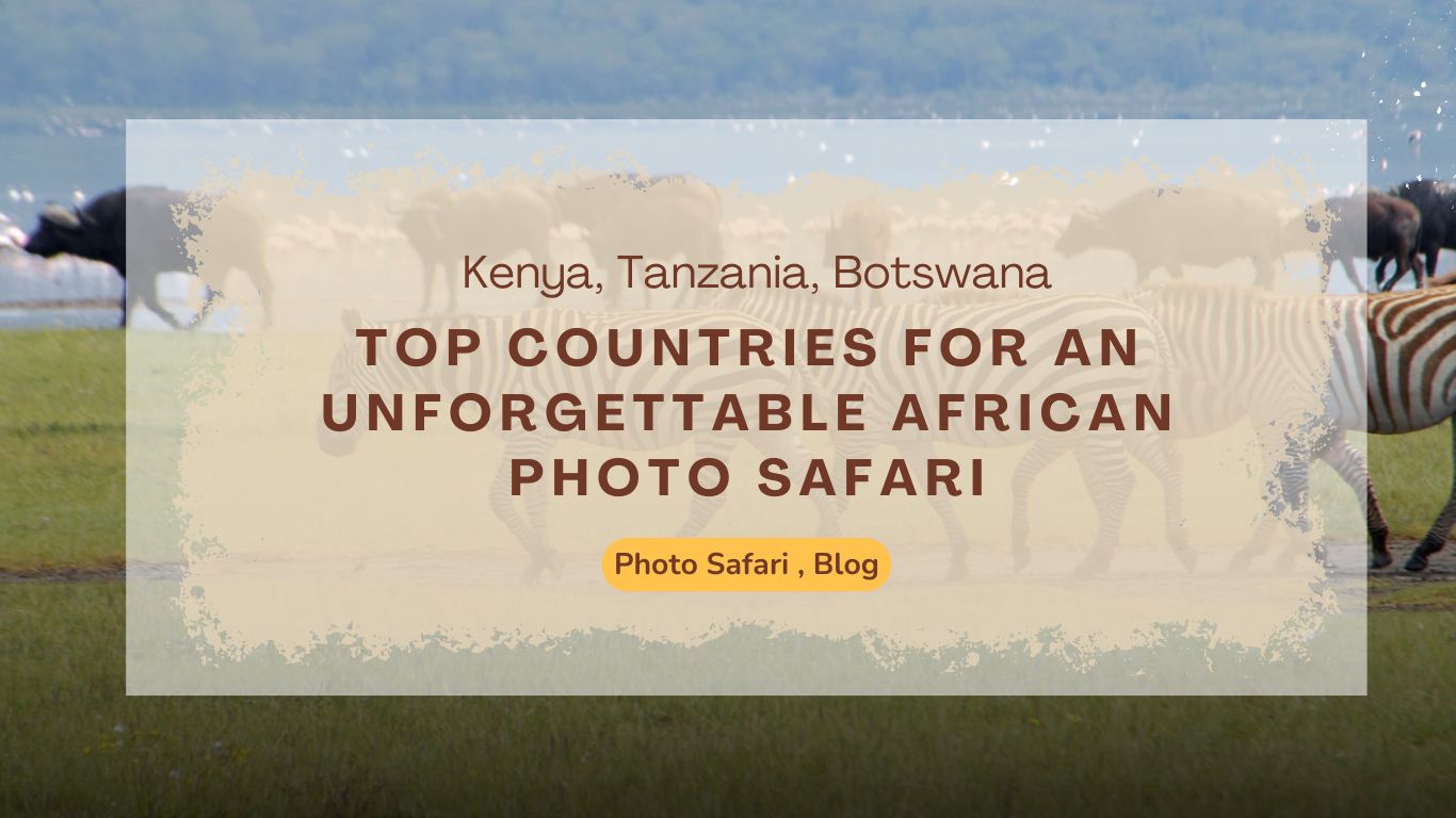 top-countries-for-an-unforgettable-african-photo-safari