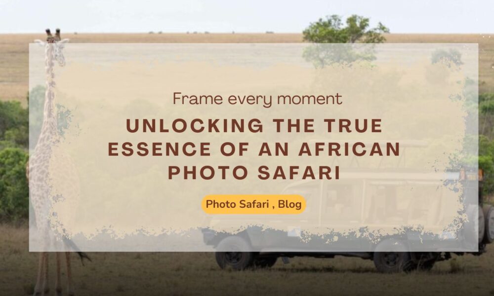 unlocking-the-true-essence-of-an-african-photo-safari