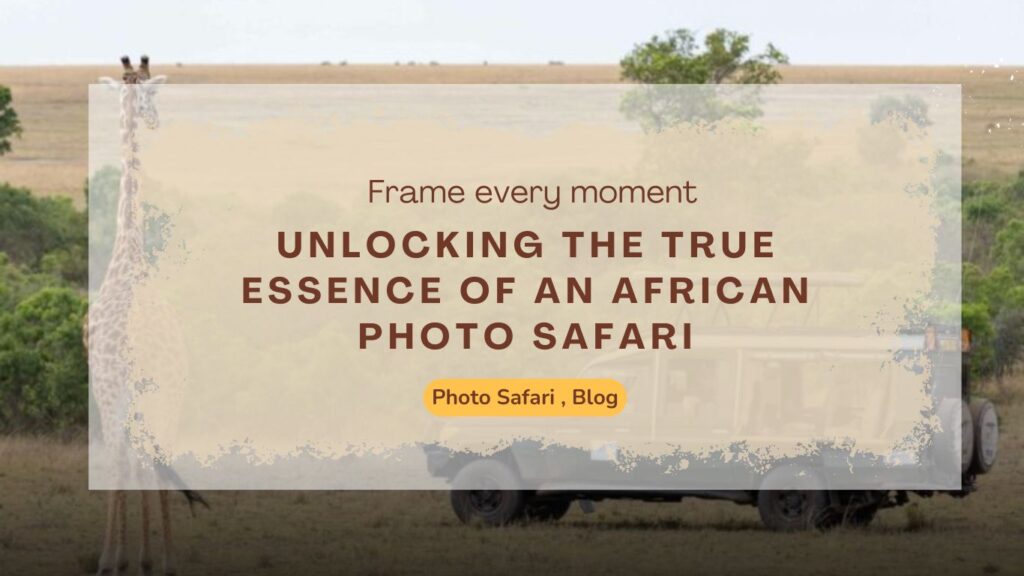 unlocking-the-true-essence-of-an-african-photo-safari