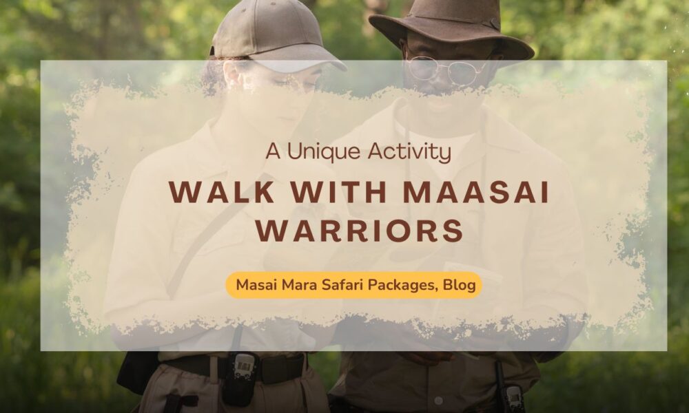 walk-with-maasai-warriors-a-unique-activity-in-masai-mara-safari-packages