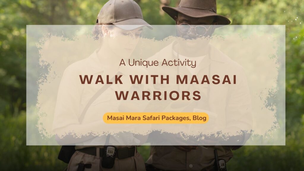 walk-with-maasai-warriors-a-unique-activity-in-masai-mara-safari-packages