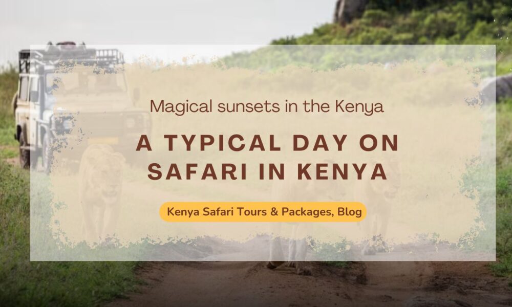what-to-expect-a-typical-day-on-safari-in-kenya