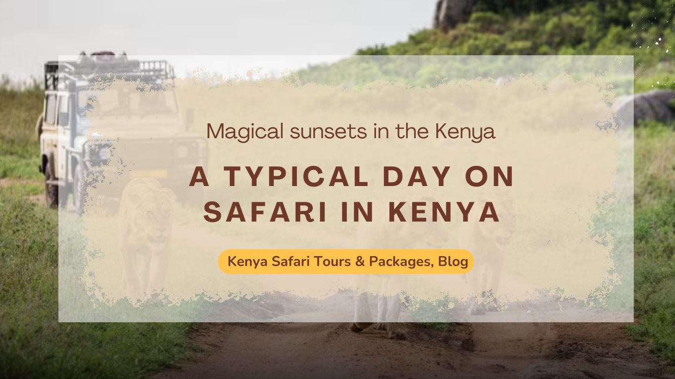 what-to-expect-a-typical-day-on-safari-in-kenya