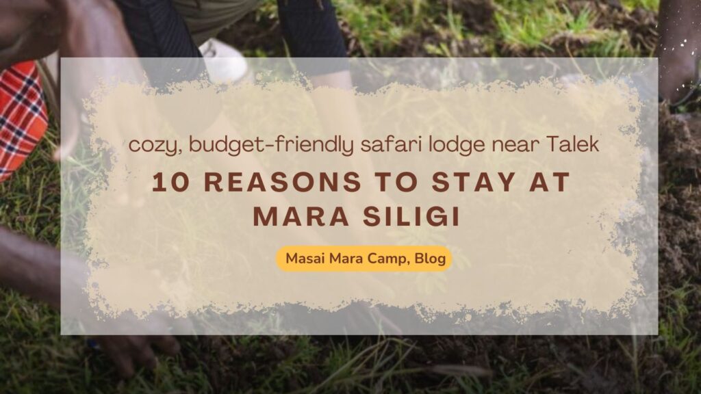 10-reasons-to-stay-at-mara-siligi-the-masai-mara-camp