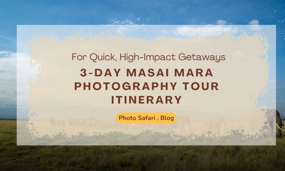 3-day-masai-mara-photography-tour-itinerary
