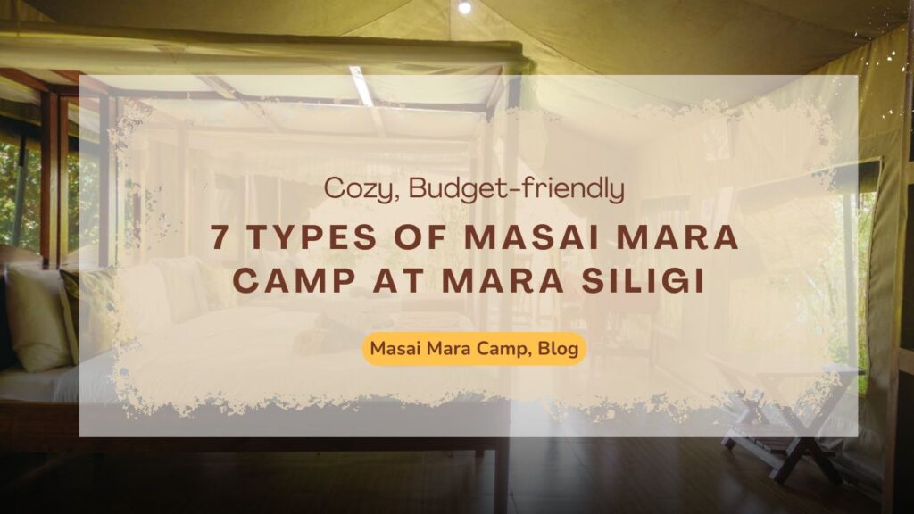 7-types-of-masai-mara-camp-at-mara-siligi