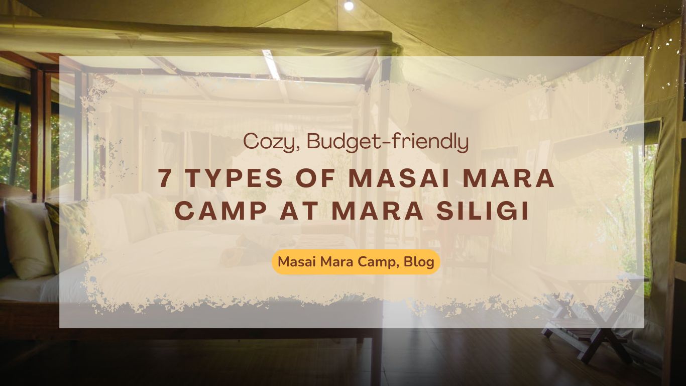 7-types-of-masai-mara-camp-at-mara-siligi