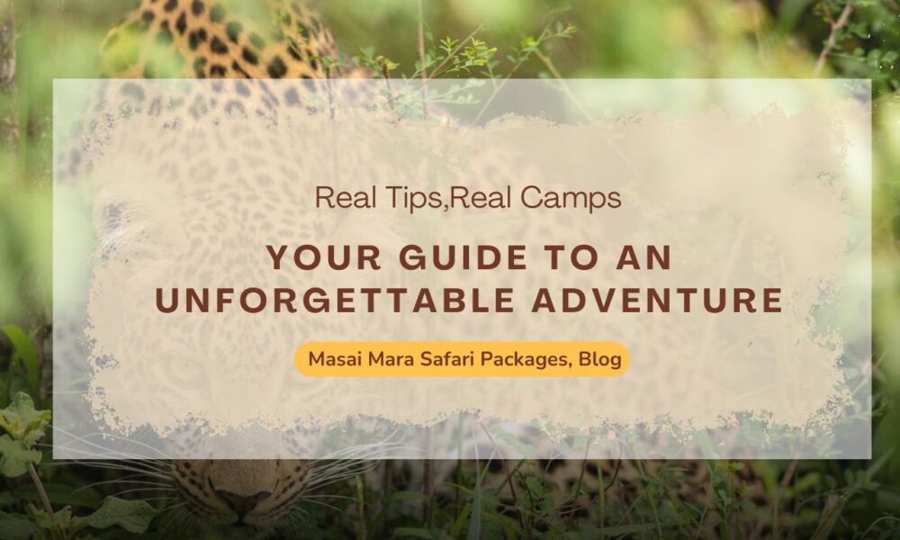 masai-mara-safari-packages:-your-guide-to-an-unforgettable-adventure