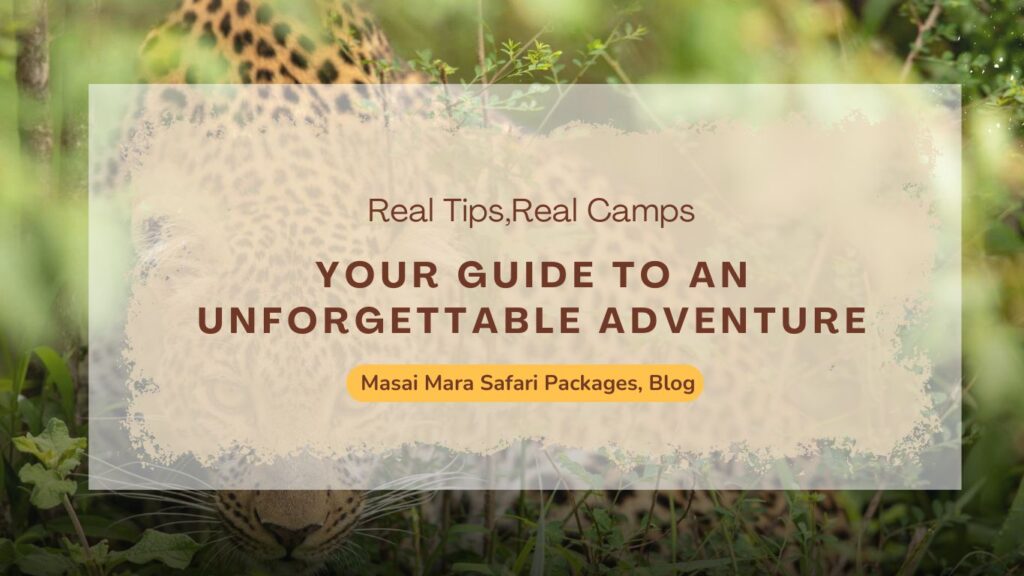 masai-mara-safari-packages:-your-guide-to-an-unforgettable-adventure