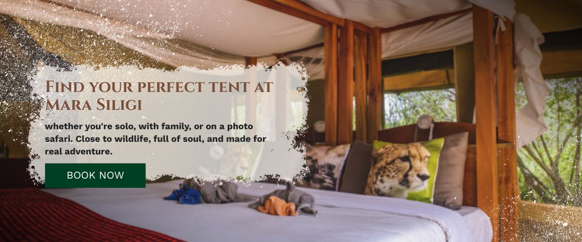 masai mara accommodation