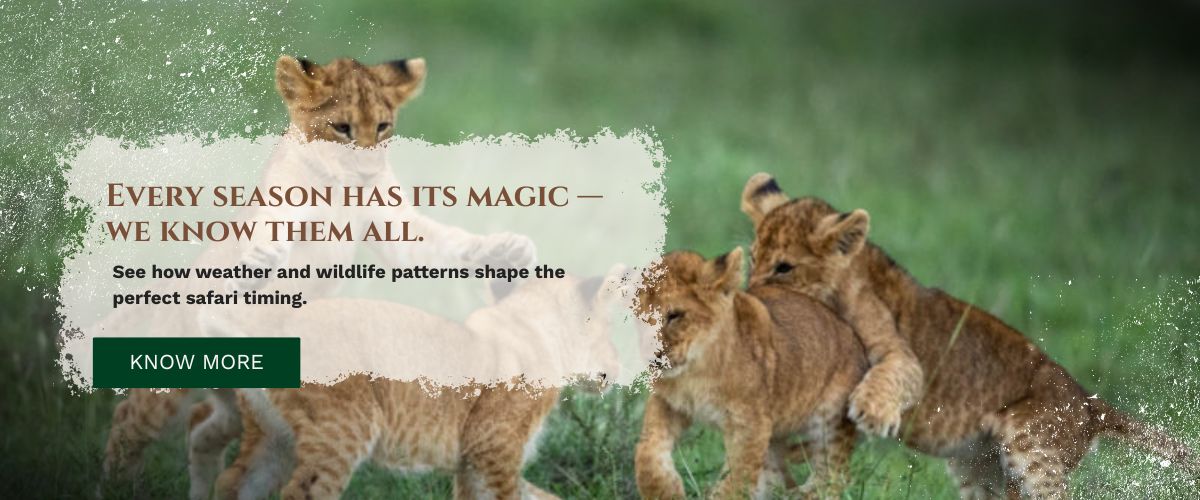 masai mara packages