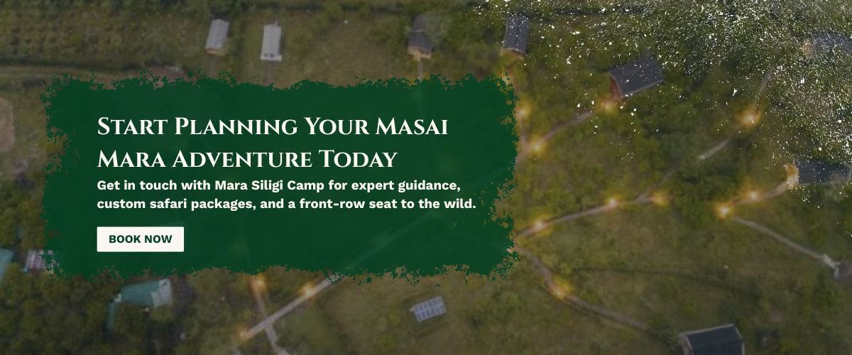 masai-mara-safari-packages