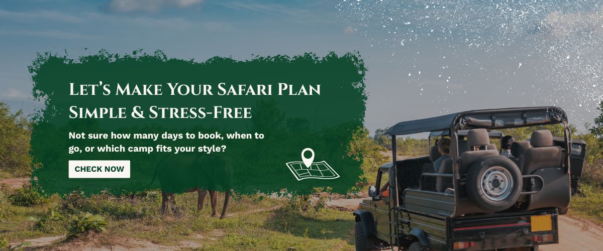 Masai Mara Safari Packages
