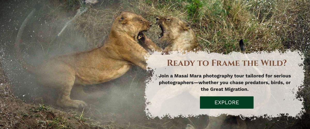 Masai Mara photography tour packages