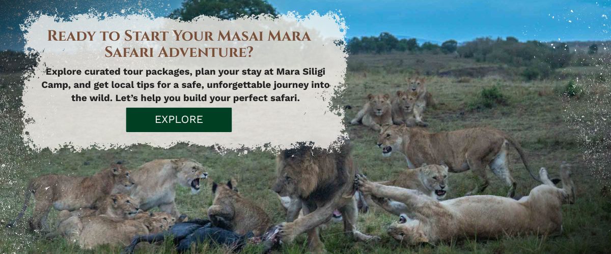 masai-mara-safari-packages