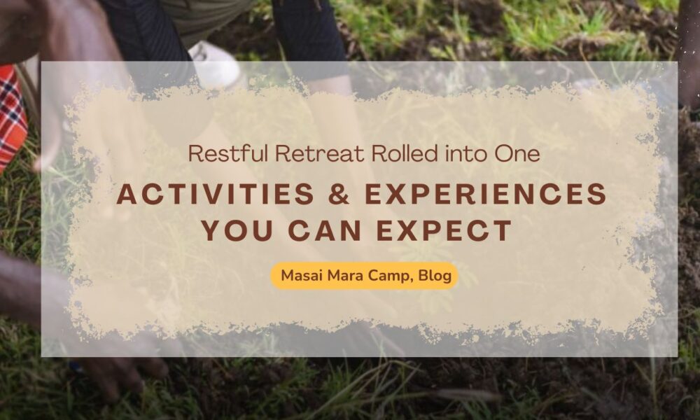 activities-experiences-you-can-expect-in-masai-mara-camp
