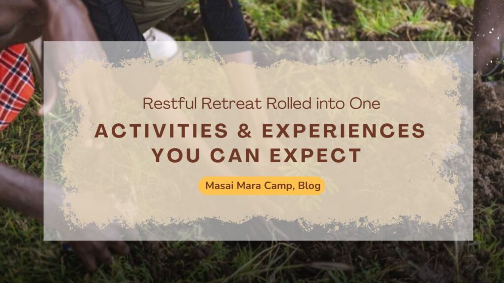 activities-experiences-you-can-expect-in-masai-mara-camp