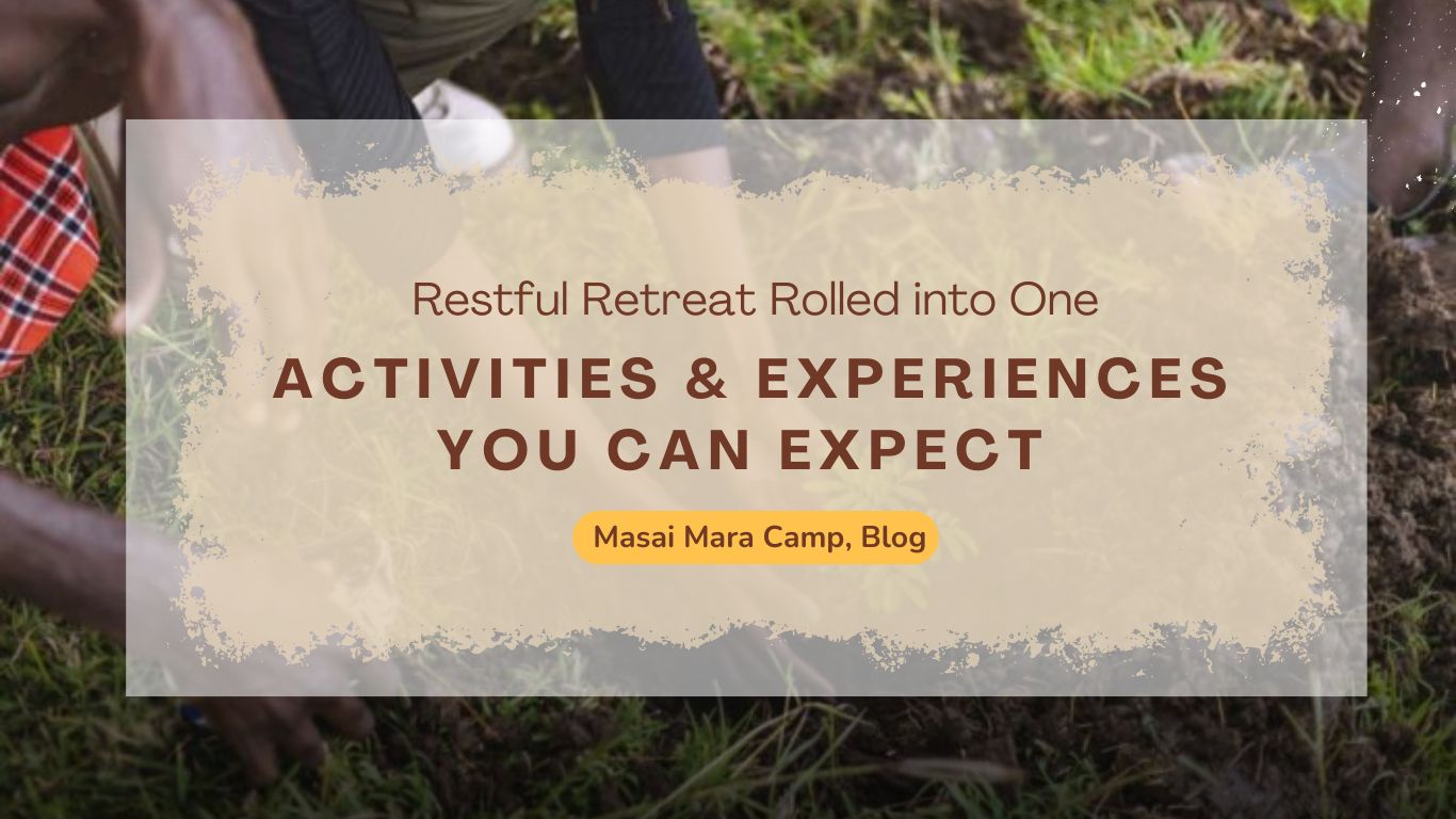 activities-experiences-you-can-expect-in-masai-mara-camp