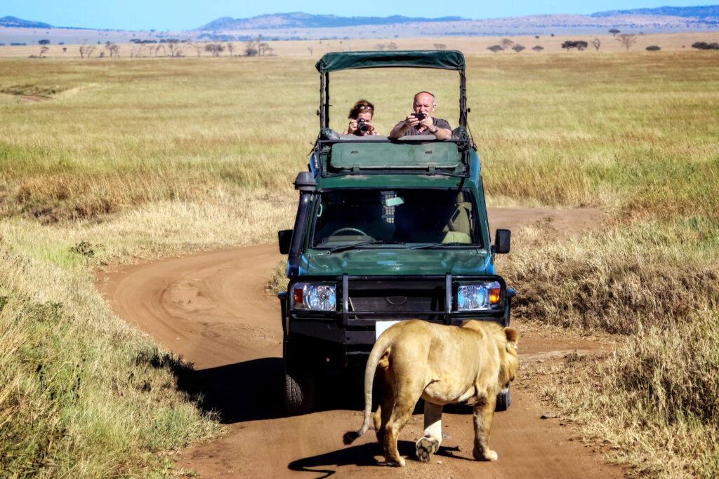 masai-mara-photography-tour-packages