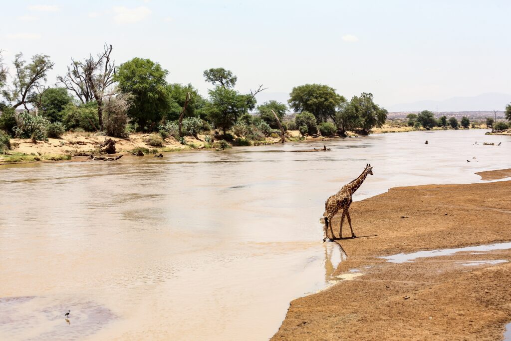 masai mara camp