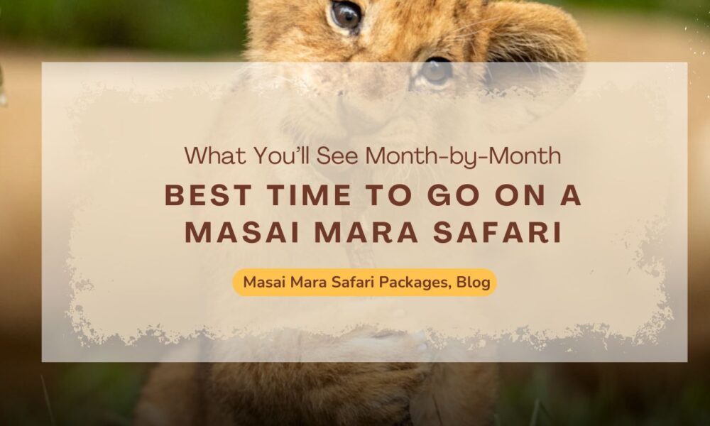 best-time-to-go-on-a-masai-mara-safari