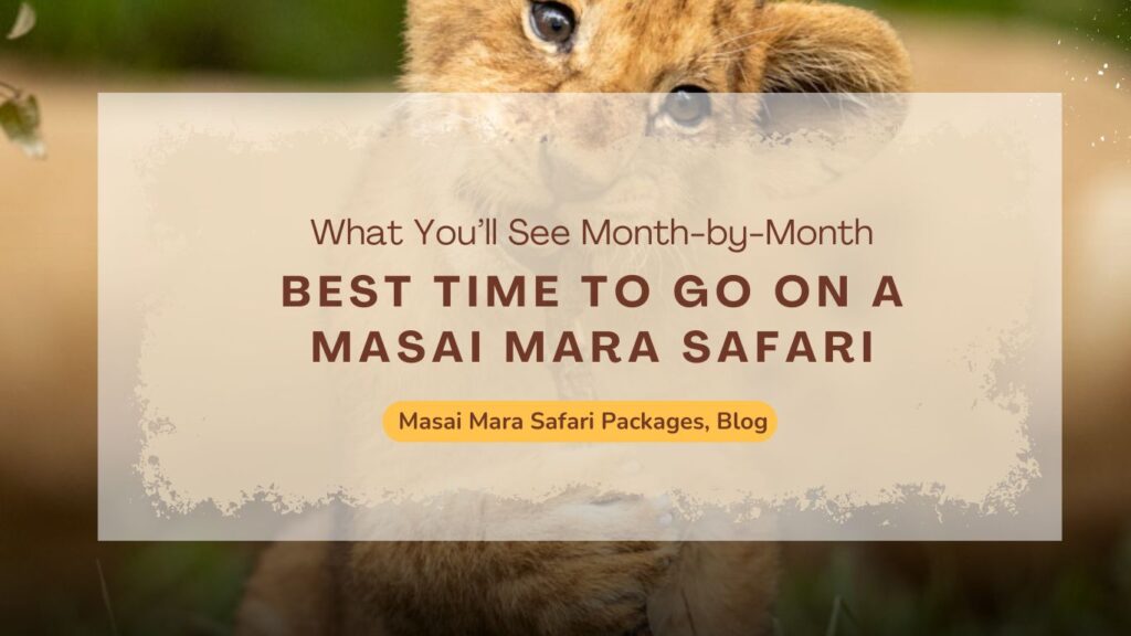 best-time-to-go-on-a-masai-mara-safari