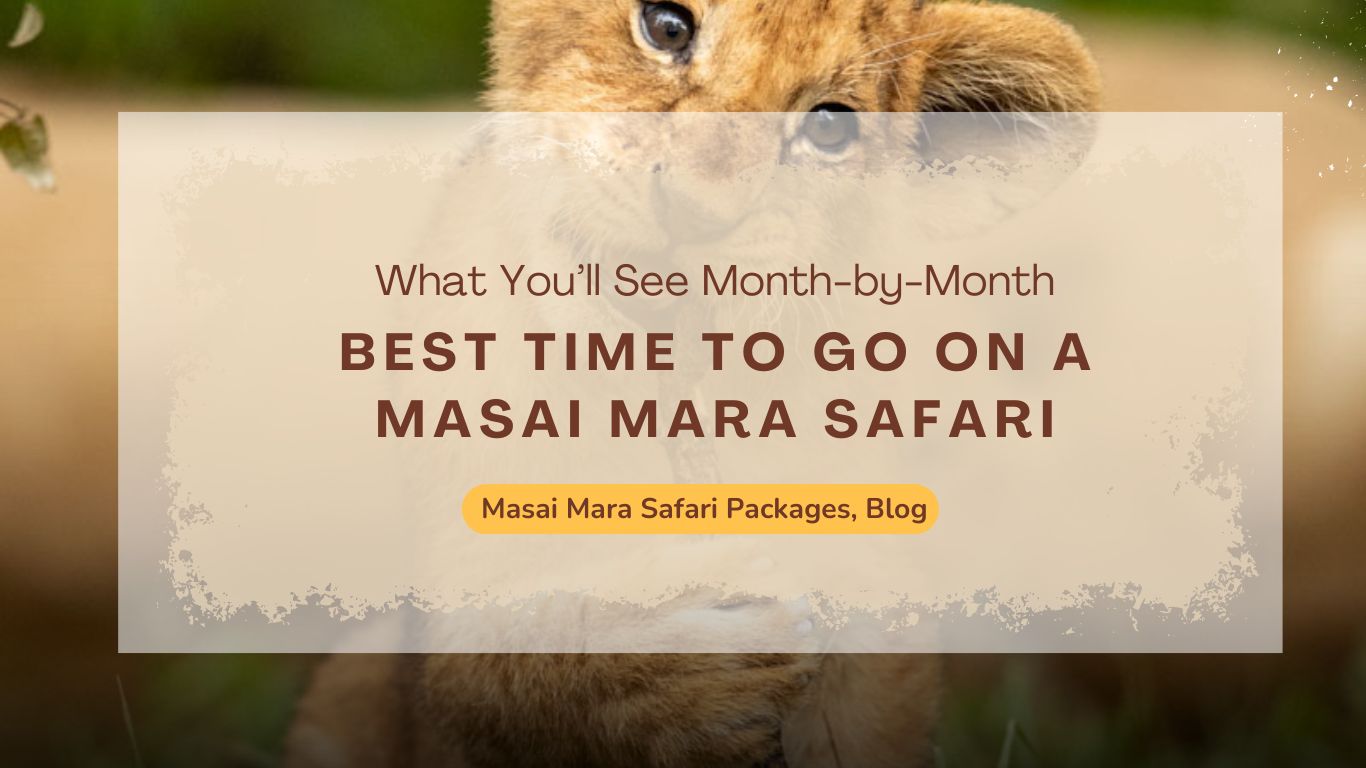best-time-to-go-on-a-masai-mara-safari