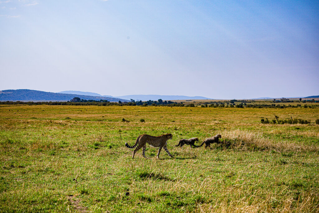 masai mara packages