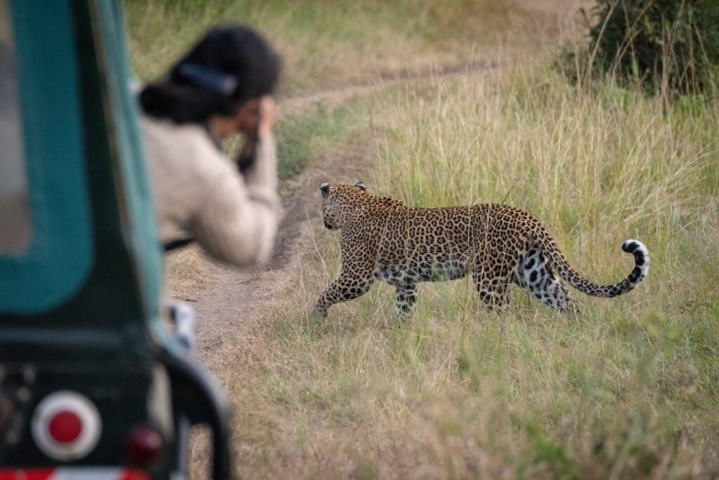 Masai Mara photography tour