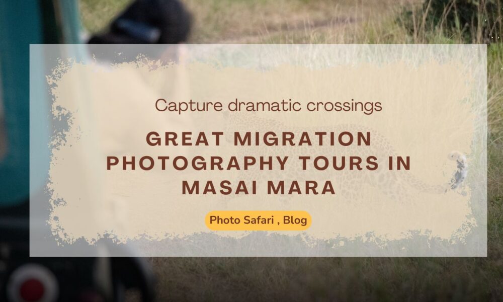 great-migration-masai-mara-photography-tour-you-need-to-know