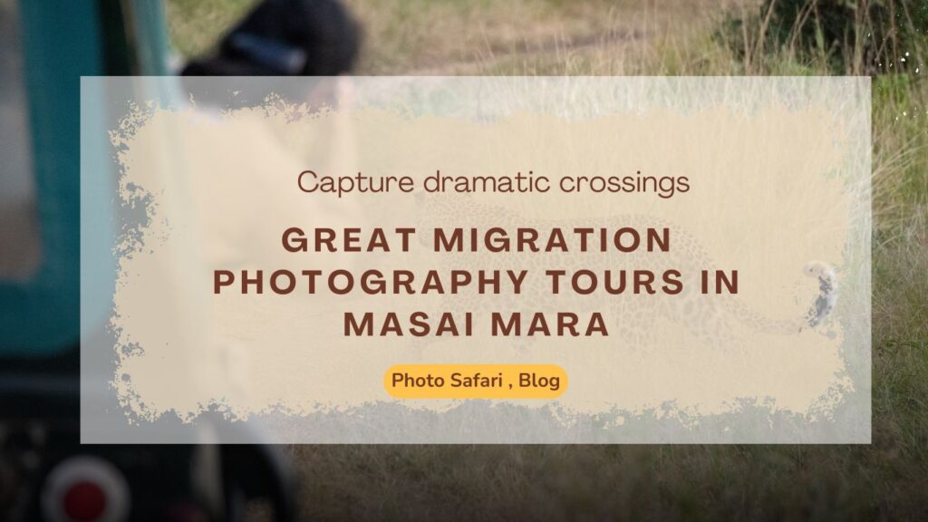 great-migration-masai-mara-photography-tour-you-need-to-know