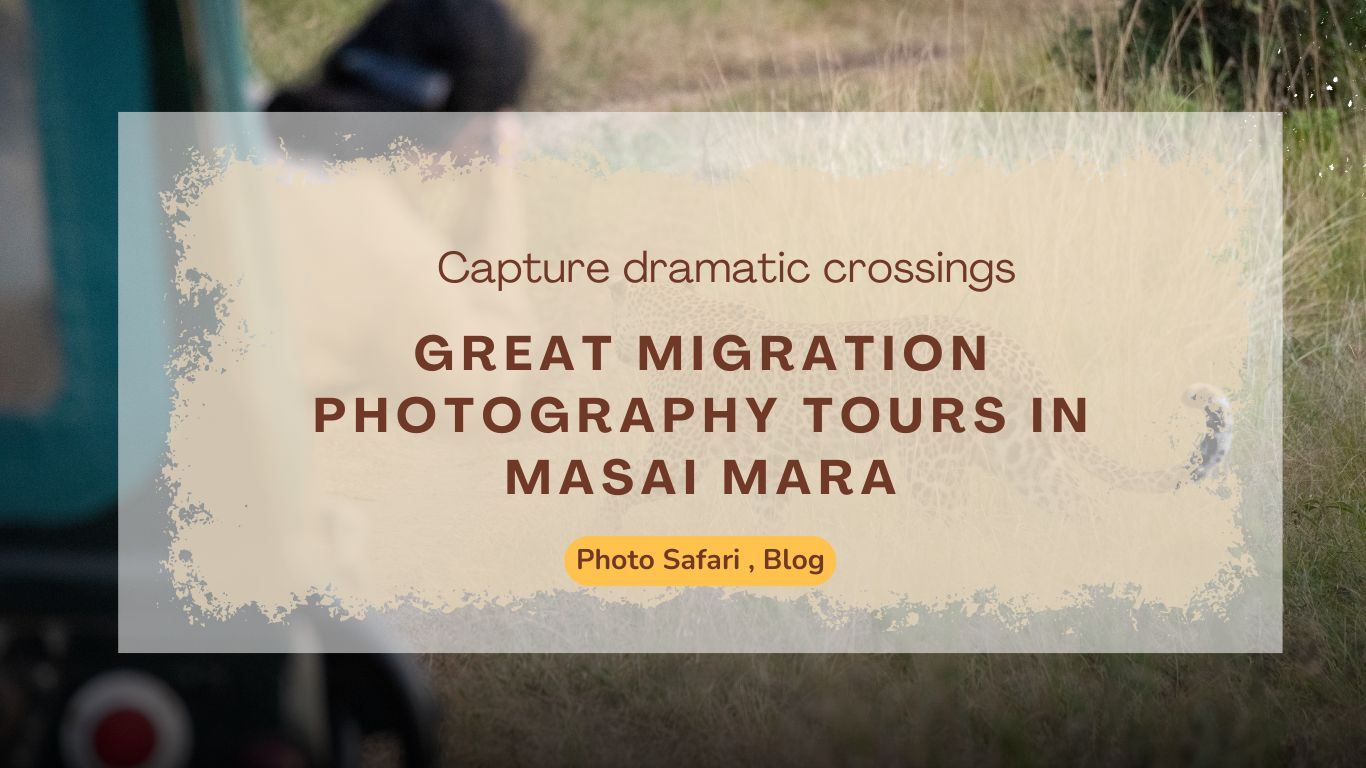 great-migration-masai-mara-photography-tour-you-need-to-know