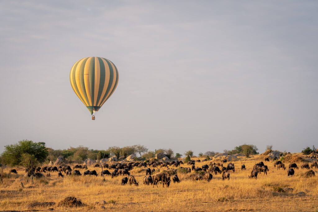 masai-mara-photography-tour-packages