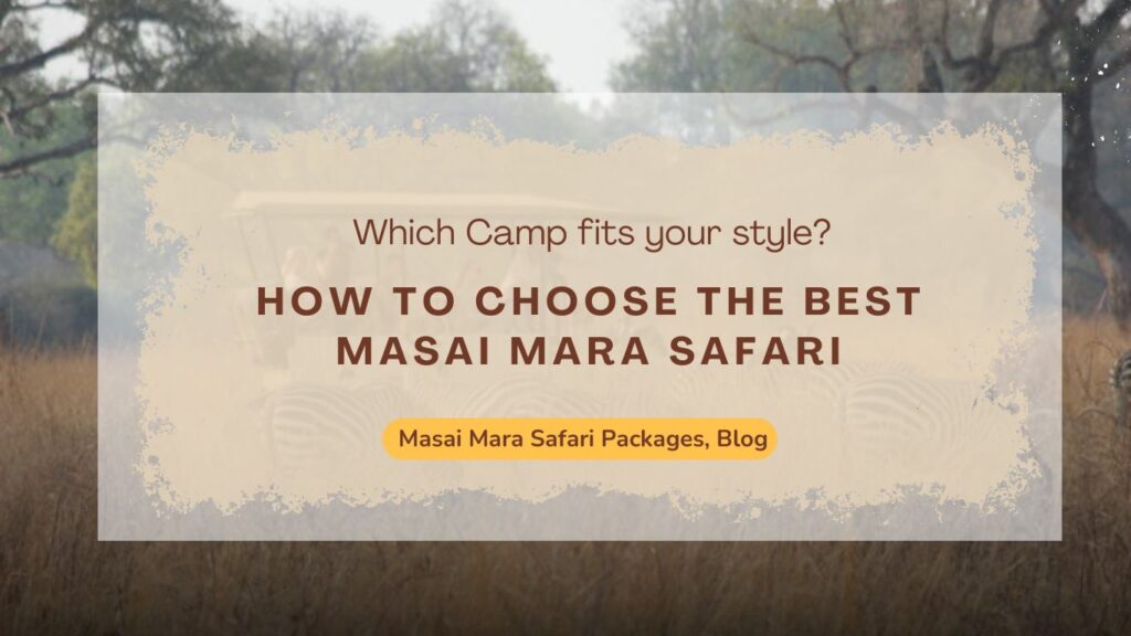 how-to-choose-the-best-masai-mara-safari