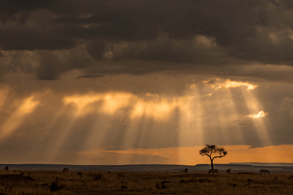 masai mara photography tour