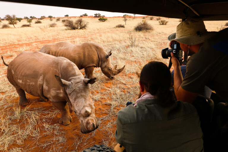 masai-mara-safari