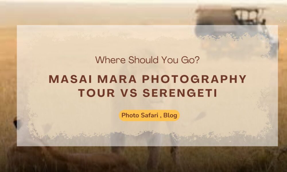 masai-mara-photography-tour-vs-serengeti-where-should-you-go