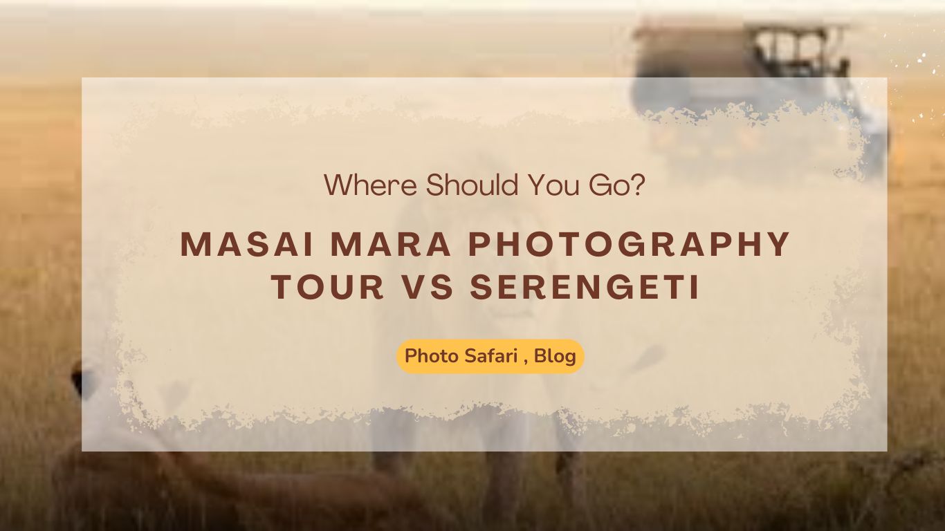 masai-mara-photography-tour-vs-serengeti-where-should-you-go