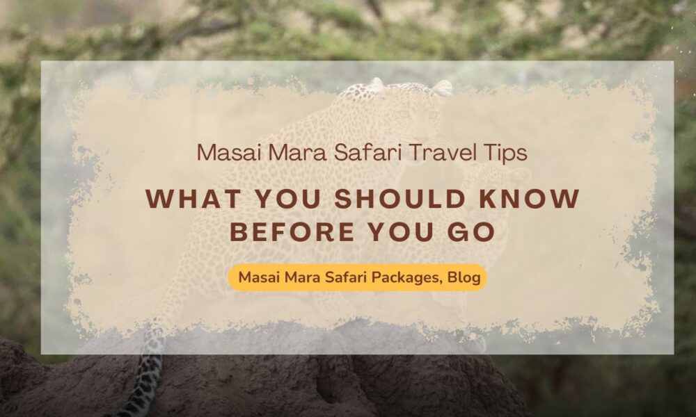 masai-mara-safari-travel-tips-what-you-should-know-before-you-go