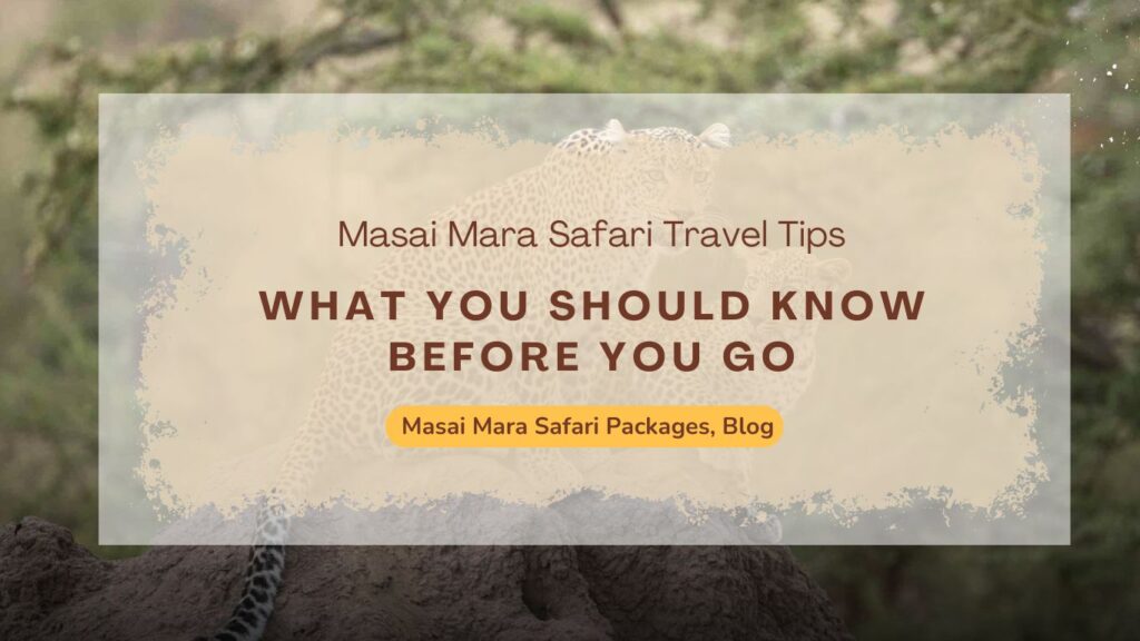 masai-mara-safari-travel-tips-what-you-should-know-before-you-go