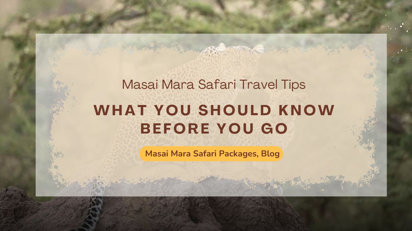 masai-mara-safari-travel-tips-what-you-should-know-before-you-go