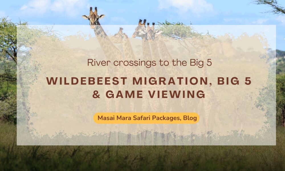 masai-mara-safari-wildebeest-migration-big-5-&-game-viewing