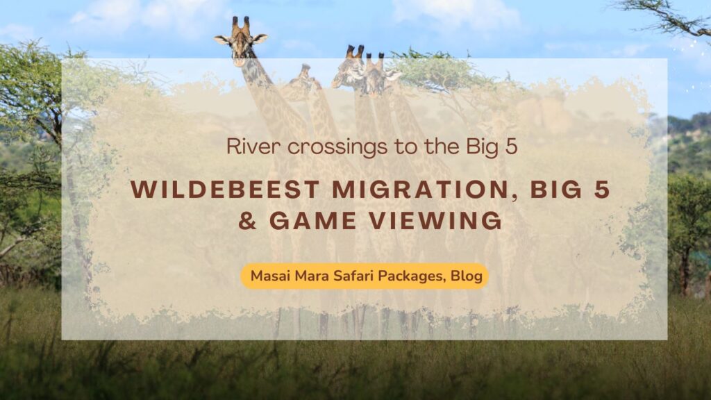 masai-mara-safari-wildebeest-migration-big-5-&-game-viewing