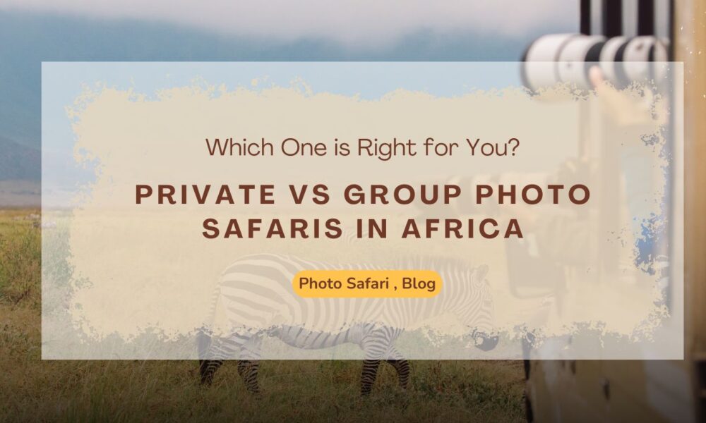 private-vs-group-photo-safaris-in-africa-which-one-is-right-for-you