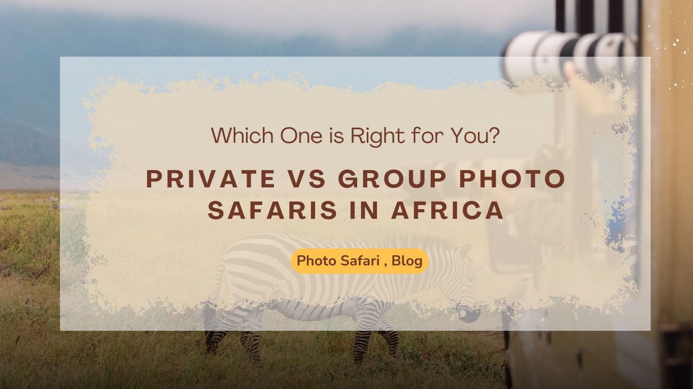 private-vs-group-photo-safaris-in-africa-which-one-is-right-for-you