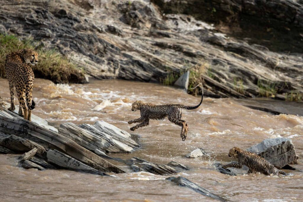 masai-mara-safari-packages