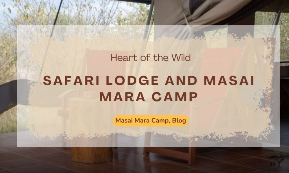 safari-lodge-and-masai-mara-camp-in-the-heart-of-the-wild